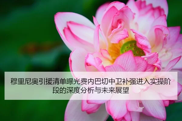 穆里尼奥引援清单曝光费内巴切中卫补强进入实操阶段的深度分析与未来展望