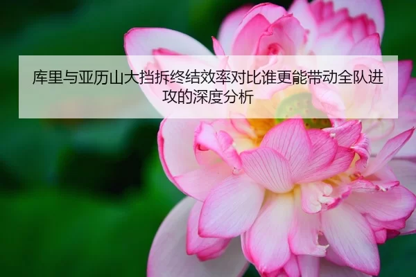 库里与亚历山大挡拆终结效率对比谁更能带动全队进攻的深度分析