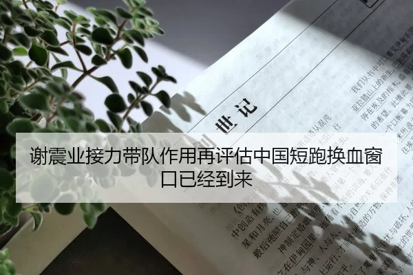 谢震业接力带队作用再评估中国短跑换血窗口已经到来
