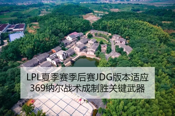LPL夏季赛季后赛JDG版本适应 369纳尔战术成制胜关键武器