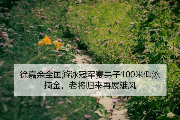 徐嘉余全国游泳冠军赛男子100米仰泳摘金，老将归来再展雄风