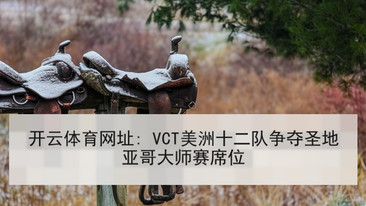 开云体育网址: VCT美洲十二队争夺圣地亚哥大师赛席位