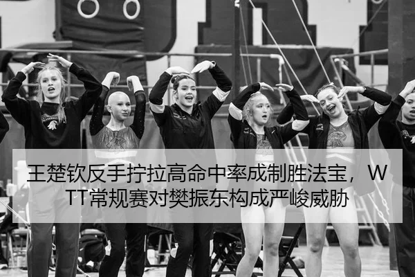wang-chu-qin-fan-shou-ning-la-gao-ming-zhong-lv-cheng-zhi-sheng-fa-bao-chang-gui-sai-dui-fan-zhen-dong-gou-cheng-yan-3-697.jpg