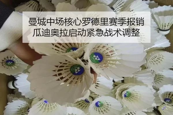 man-cheng-zhong-chang-he-xin-luo-de-li-sai-ji-bao-xiao-gua-di-ao-la-qi-dong-jin-ji-zhan-shu-tiao-zheng-3-519.jpg